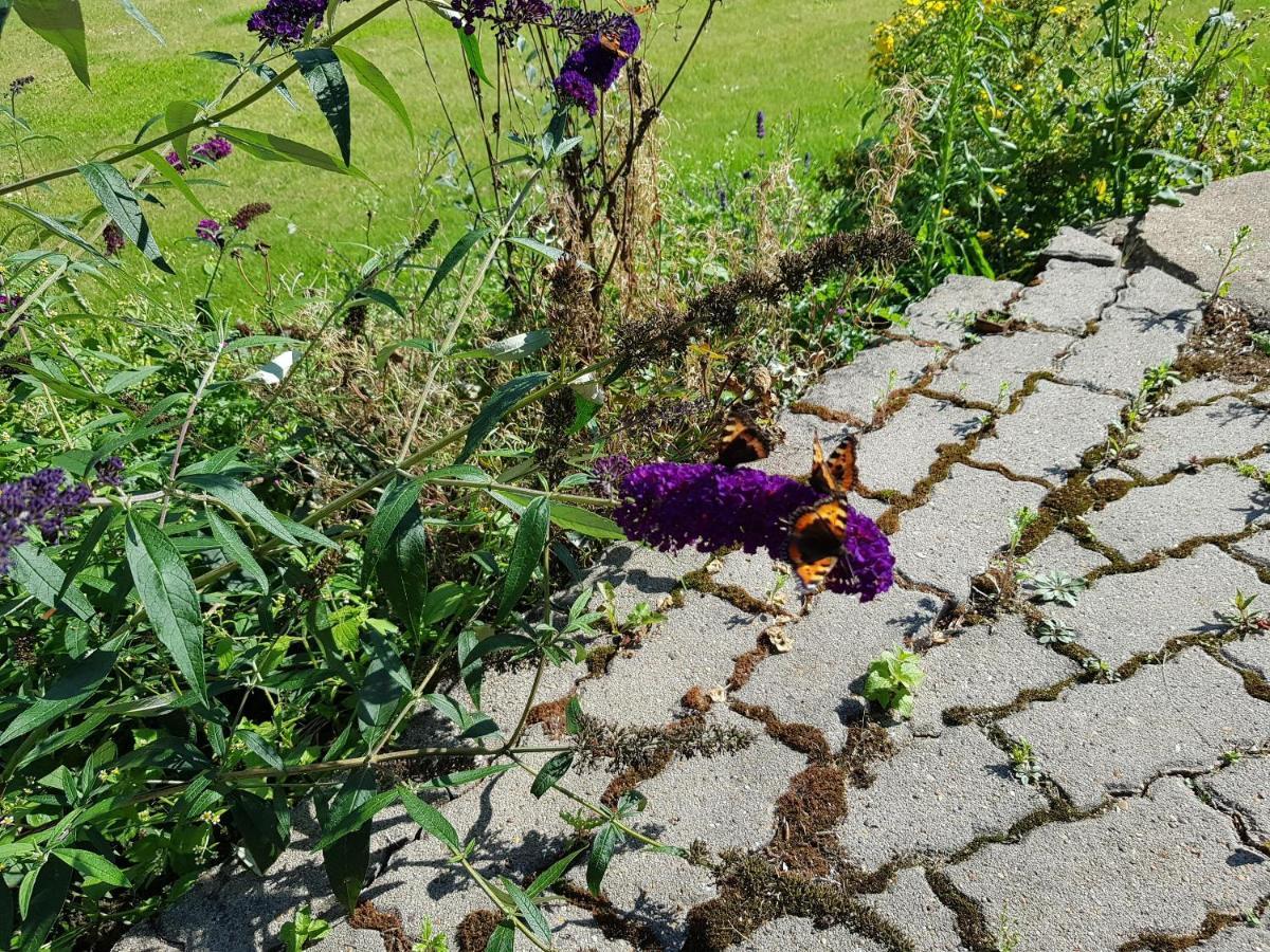 Kyndestoft Bed & Breakfast Holstebro Exterior foto